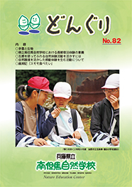 どんぐり82号