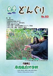 どんぐり83号