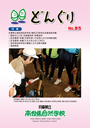 どんぐり85号