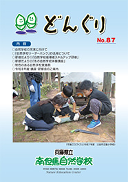 どんぐり87号