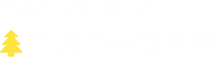 今週の自然学校